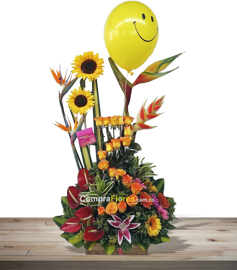 Arreglo lineal en Cali