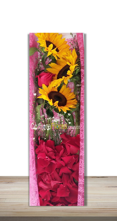 Caja de Girasoles y Rosa