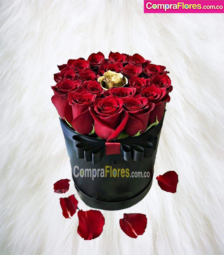 Rose de Amore, flowers Floristeria Cali