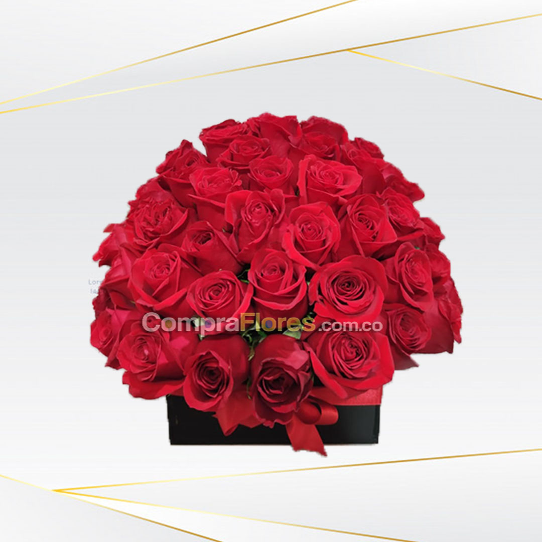 Aniversario de Rosas, Cali Colombia