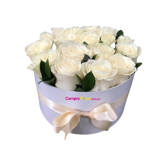 Cilindro Rosas Blancas