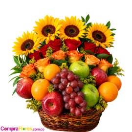 Frutero Solar, Girasoles y Rosas Cali