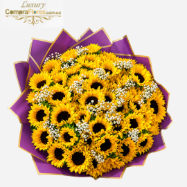 Bouquet Majestuoso: 50 Girasoles Premium de Tallo Largo